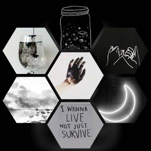 Meet your Posher, Julia